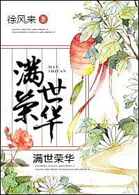 满世荣盛合作项目最新进展的背景调查与参与情况
