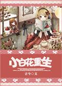 小白花重生乔彧和贺一诺的