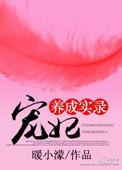 宠妃养成录