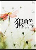狠角色我只扮演一次