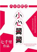 八十年代之小心翼翼作者七千里