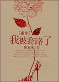 我套路了男神免费阅读