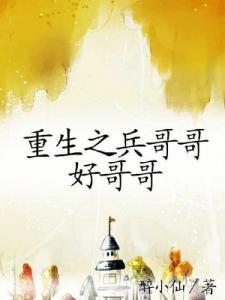 重生之兵哥哥好哥哥在线阅读