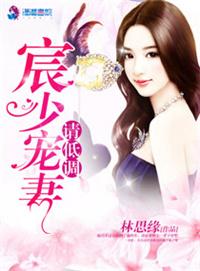 宸少 宠妻请低调 免费阅读