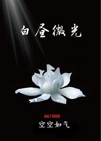白昼微光空空如气txt
