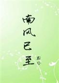 南风已至全文免费无防盗章