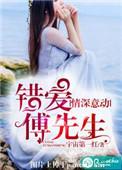 情深意动傅少宠入骨txt