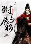 展昭进宫
