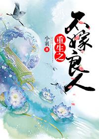 重生之不嫁凤凰男