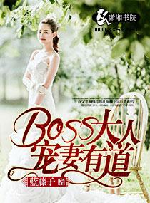 boss大人宠上瘾