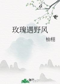 玫瑰遇野风晋江