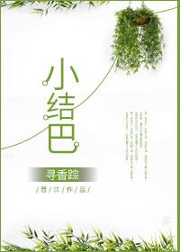 小结巴by金大力txt
