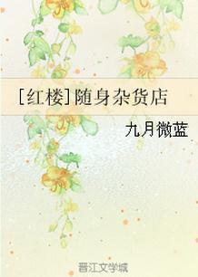 类似红楼随身杂货铺的