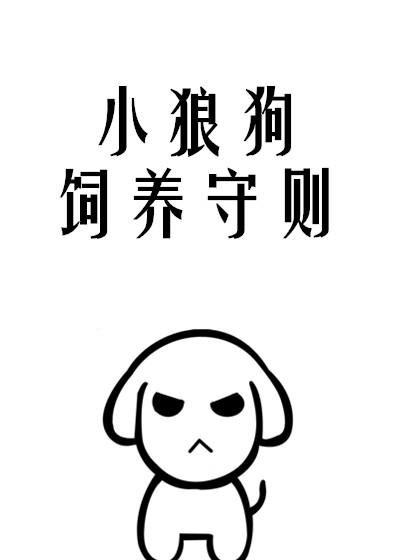 小狼狗饲养守则100章
