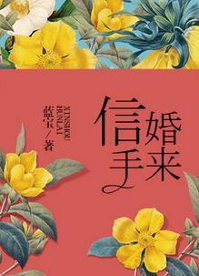 信手婚来 蓝宝讲什么