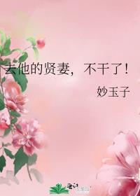 去他的贤妻
