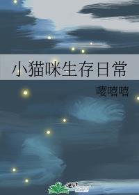 小猫咪生存日常图片