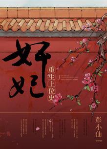 宠妃上位史