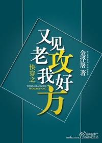 快穿之又见到我老攻好方