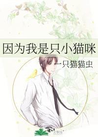 我是一只小猫喵是什么歌