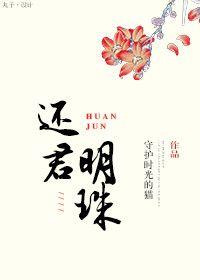还君明珠txt