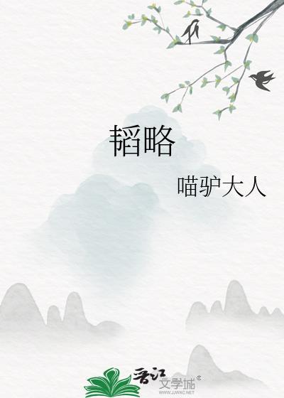 韬略集团董事长