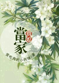 农媳当家txt