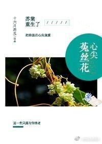 心尖菟丝花剧透