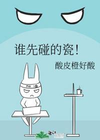 谁先碰的瓷! 作者酸皮橙好酸