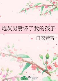 炮灰的怀孕男妻