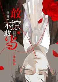 敢撩不敢当(快穿)