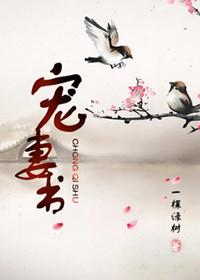 宠妻书生免费阅读