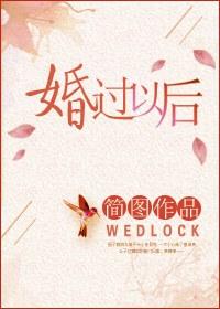 婚过以后无防盗