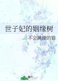 世子妃百科