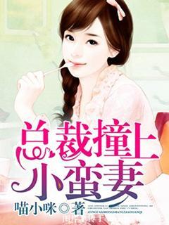 总裁撞上小蛮妻 聚合中文网