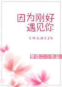 因为刚好遇见你什么歌