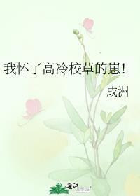 我怀了高冷校草的崽! 成州