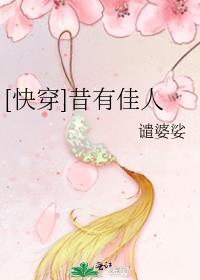 二次元的学霸