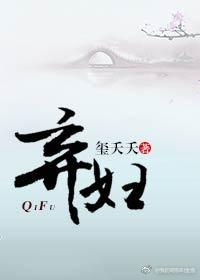 弃妇的全部