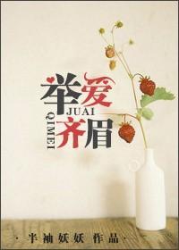 举爱齐眉百度