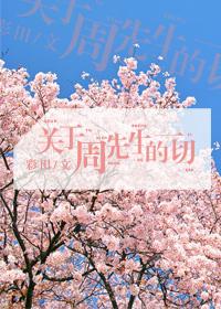 关于周先生的一切txt