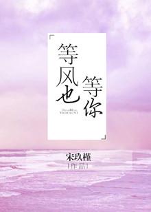 等风也等你那夏