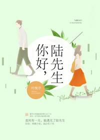 你好陆先生娱乐圈全文