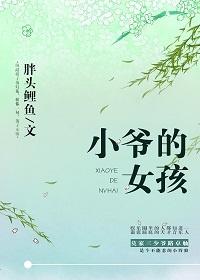 小爷的女孩txt