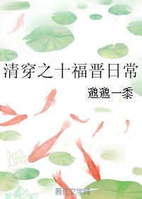 清穿之十福晋by查查