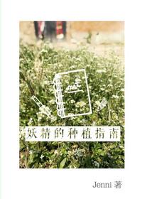 妖精种植指南多少字