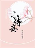 重生小妾的推荐