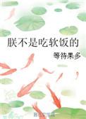 我不是吃软饭的免费