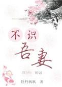 吾不识青天高全诗