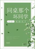 同桌那个坏同学txt微盘